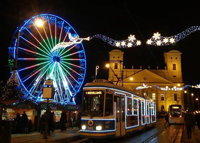 Evergreen Varlak * Debrecen